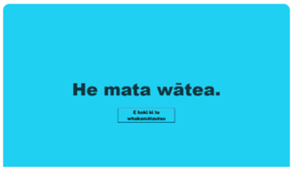 Click on 'E hoki ki te whakamātautau' to unlock the blank screen