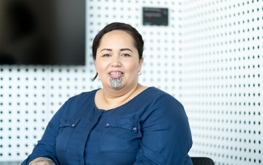 Policy analyst information on careers.govt.nz