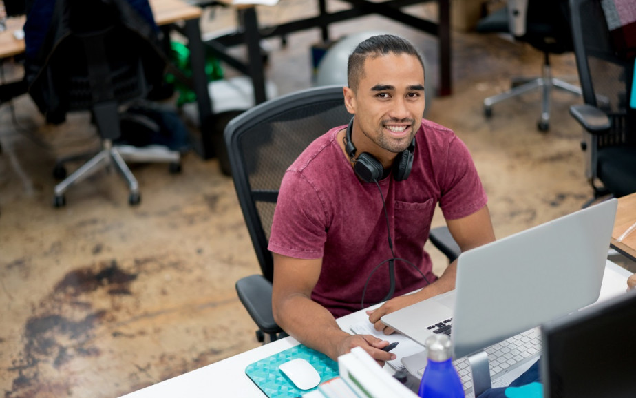 Software developer info on careers.govt.nz
