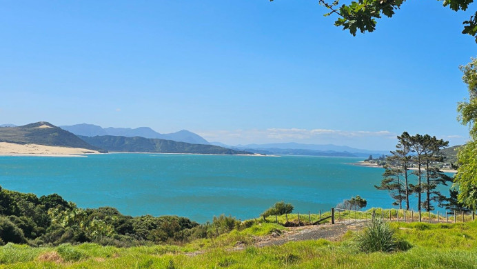 Image of the ocean taken from a hill with tree leaves in the foreground, representing Environment Māori unit standards