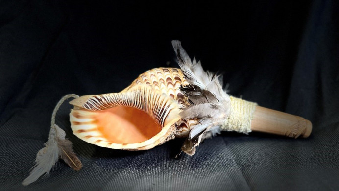 toi puoro