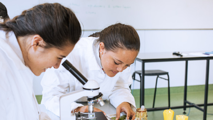 Two students examine leaves in a microscope